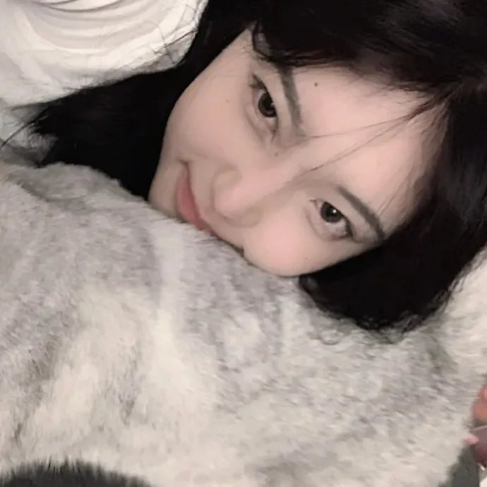 我和我的伙伴